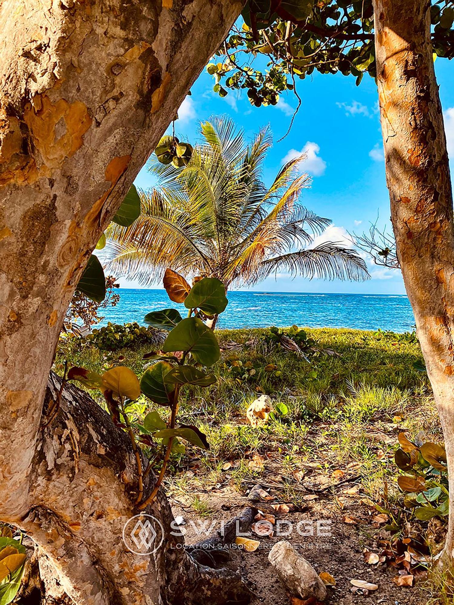 Swilodge Vue Sur Mer ! Petit Dejeuner Et Location De Voiture Possible Ле-Муль Экстерьер фото